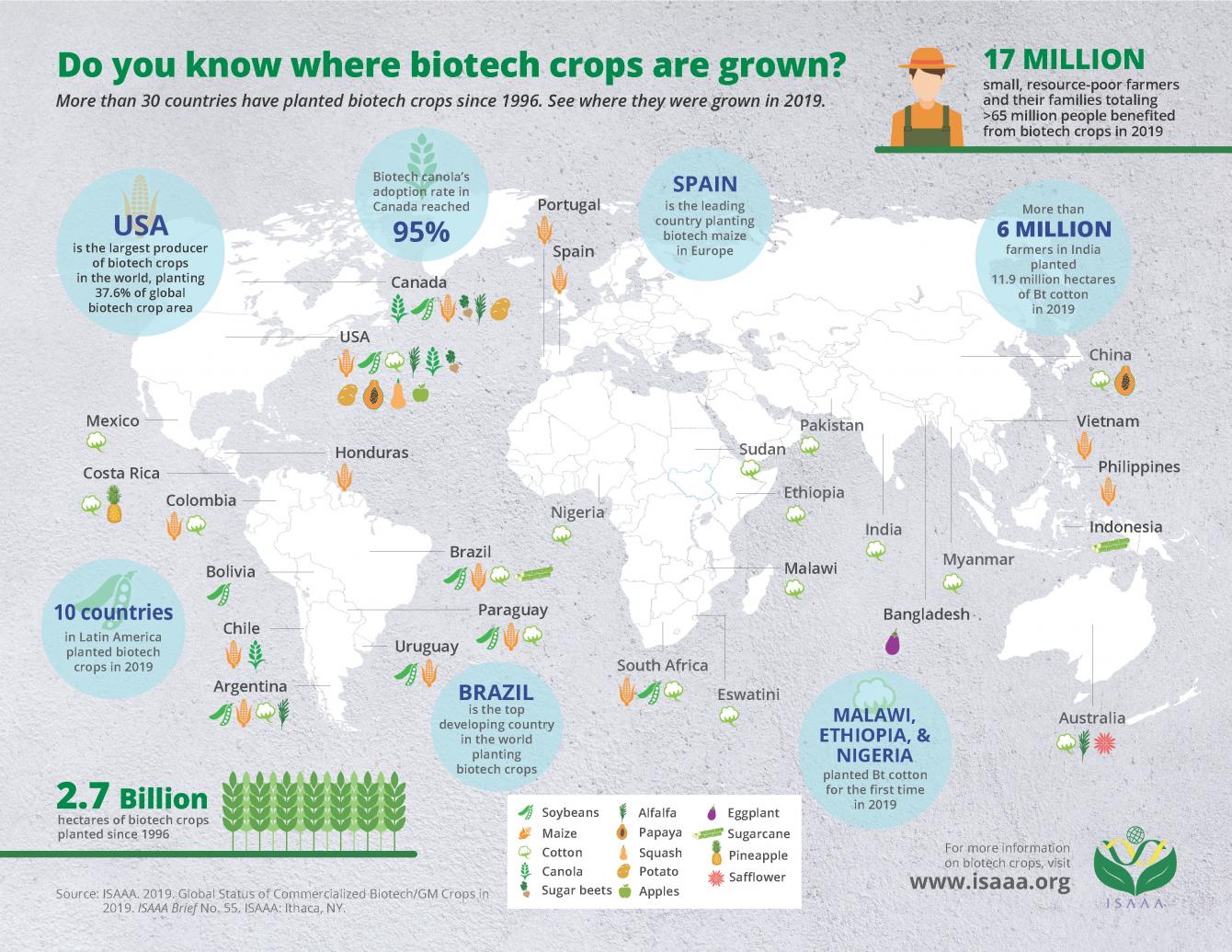 GMOs Around The World GMO Answers   2019 Do You Know Where Biotech Crops Are Grown 